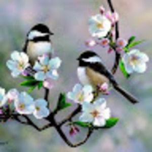 Meet your Posher, Carrie